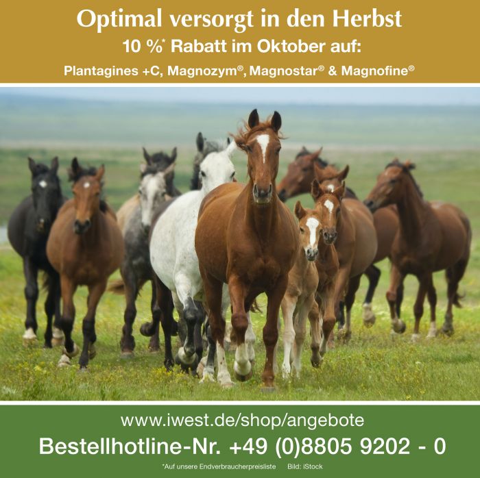 Produkte für die Gesundheit Ihres Pferdes